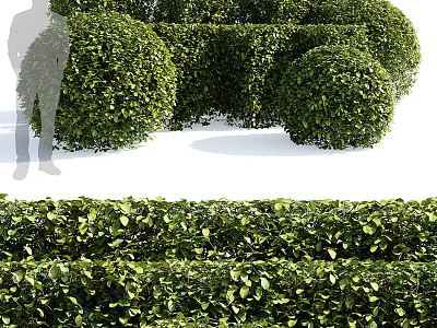 Well Trimmed Garden Bushes With Rounded Shapes And Lush Green Foliage 3d model