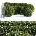 Well Trimmed Garden Bushes With Rounded Shapes And Lush Green Foliage