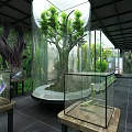 Museum Exhibition Hall Interior With Glass Display Cases And Animal Specimens