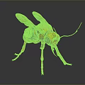 Mechanical Insect Featuring Orange Green Body Transparent Wings Long Slender Legs Intricate Design