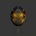 Black and Gold Goldfish With Large Eyes And Flowing Fins On Dark Background With Reflection