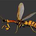 Modern Wasp Bumblebee Insect Fantasy Insect Big Dragonfly 3d model
