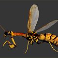 Modern Wasp Bumblebee Insect Fantasy Insect Big Dragonfly 3d model