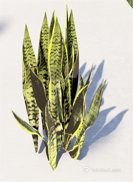 Lush Indoor Snake Plant With Green Striped Leaves And Yellow Edges 3d model 
