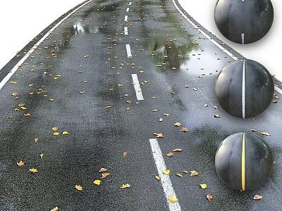Wet Road Featuring White Lane Markings Round Traffic Bollards With Reflective Stripes And Fallen Leaves 3d model