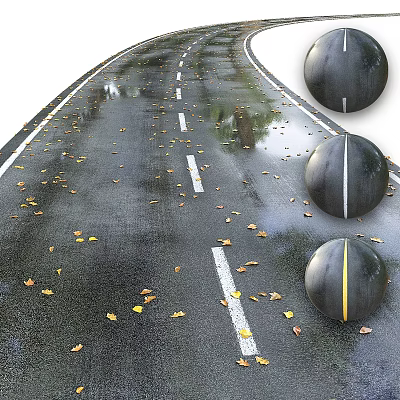 Wet Road Featuring White Lane Markings Round Traffic Bollards With Reflective Stripes And Fallen Leaves 3d model