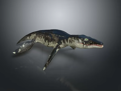 Prehistoric Mosasaur Marine Reptile With Sharp Teeth And Streamlined Body 3d model