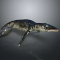 Prehistoric Mosasaur Marine Reptile With Sharp Teeth And Streamlined Body