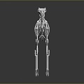 Modern Skeleton Metal Dinosaur Skeleton Alloy Skeleton Animal Skeleton Animal Skeleton 3d model