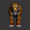 3D Rendered Standing Tiger With Orange Black Stripes White Paws Gray Background And Reflection Effect