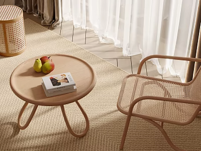 Rattan Leisure Chair With Wooden Coffee Table Fruits Book And White Curtains 3d model