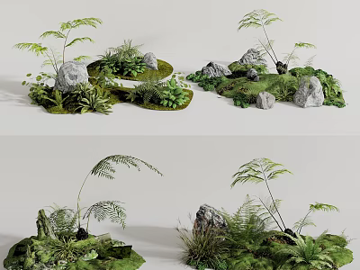 Indoor Landscape Design With Ferns Rocks And Lush Greenery Arrangements 3d model