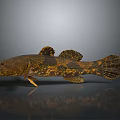 Fish Shaped Decorative Ornament For Modern Home Living Room Decoration Accessories