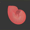 Nautilus Marine Creature Displaying Unique Spiral Shell With Orange And White Stripes