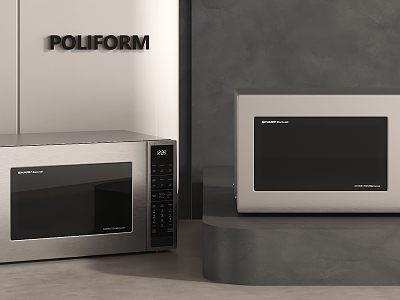 Modern Microwave Oven model