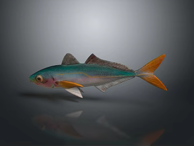 Colorful Fish With Green Blue Body Orange Tail 3D Rendered On Gray Background With Reflection 3d model