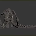 Medical Instrument Animal Skeleton Model With Metal Construction For Anatomical Teaching