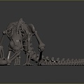 Modern Skeleton Animal Skeleton Skeleton Animal Skeleton 3d model