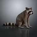 Realistic Raccoon Sitting On Reflective Surface With Striped Tail And Gray Background