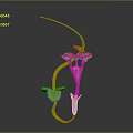 Decorative Green Vine Plant with Curved Stem Green Leaves and White Bloom for Indoor Decoration