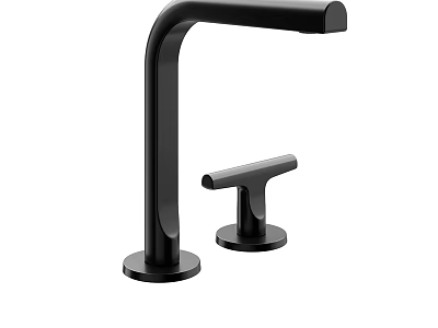 Black Modern Faucet With Tall Spout Separate Handle And Matte Finish 3d model