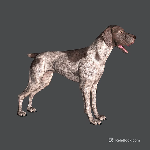 Spotted Reptile Standing On Gray Background With Brown White Patterns 3d model 