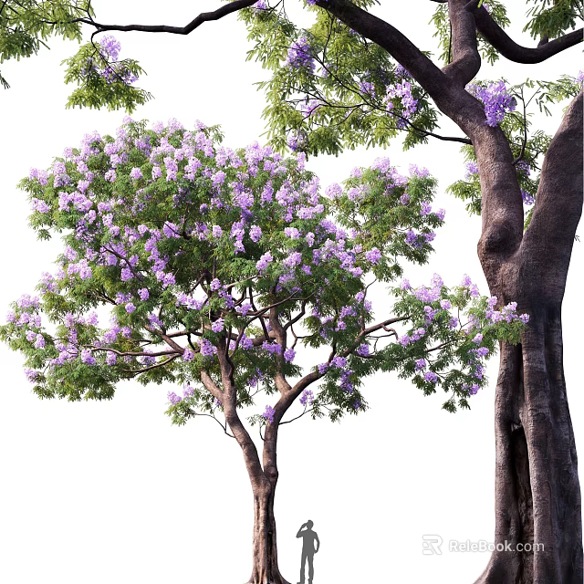 Vibrant Arbor with Purple Blossoms Lush Green Foliage and Strong Trunk 3d model 