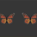 Orange and Yellow Monarch Butterflies on Gray Background with Shiny Reflective Surfaces