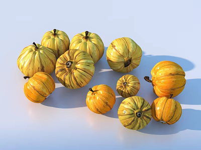 Fresh Yellow Pumpkins with Natural Patterns in Various Sizes on White Background 3d model