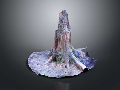 Colorful Tree Stump with Textured Roots Weathered Surface and Natural Patterns 3d model