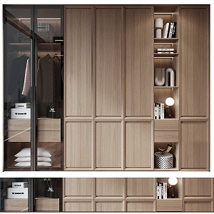 Modern one-piece wardrobe 3d model