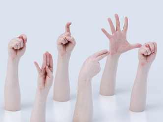 gesture palm finger hand shape 3d model