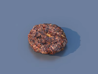 Delicious Juicy Grilled Burger Patty With Charred Surface And Seasoned Texture 3d model