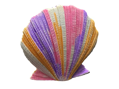 Colorful Scallop Shell Decorative Ornament Set With Pastel Hues And Textured Design 3d model