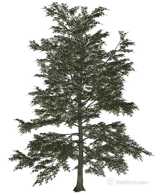 Tall Arbor With Lush Green Foliage And Thick Trunk In Natural Landscape 3d model 