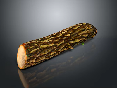 Natural Wooden Log Featuring Detailed Bark Texture And Smooth Cross Section Surface On Dark Background 3d model
