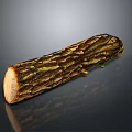 Natural Wooden Log Featuring Detailed Bark Texture And Smooth Cross Section Surface On Dark Background