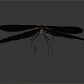 Detailed Dragonfly With Brown Wings And Green Slender Body On Gray Background