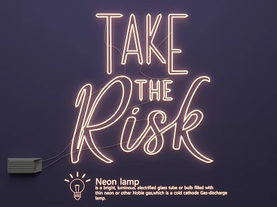 Stylish Neon Lamp Combination Featuring Take The Risk Design and Power Supply 3d model