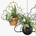Hanging Basket Plants with Cloud Shaped Designs Ferns Trailing Foliage Black Golden and Terracotta