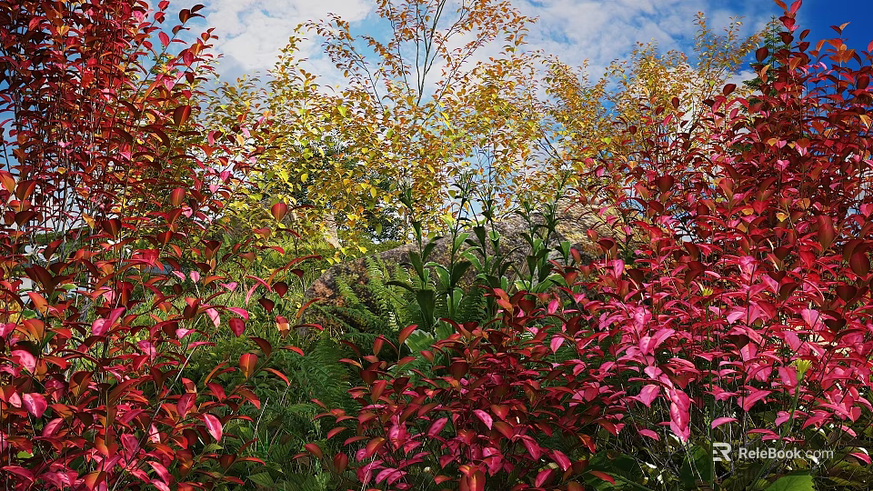 Vibrant Red And Yellow Shrubs In Garden With Blue Sky And Green Foliage 3d model 