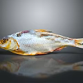 Whole Dried Fish With Golden Silver Color On Reflective Gray Surface