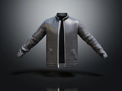 Modern Leather Jacket With Stand Collar Zipper Closure And Side Pockets 3d model