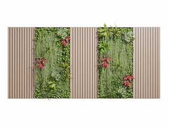 Modern Plant Wall 3d model