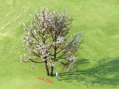 Blooming Arbor in Spring Park With Green Grassland People And Guide Sign Nearby 3d model