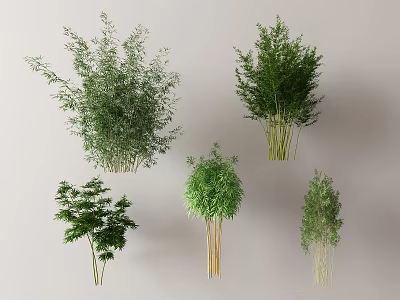 Various Bamboo Plants With Different Heights And Leaf Shapes For Garden Decor 3d model
