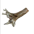 Natural Weathered Tree Stump With Detailed Wood Texture And Organic Shape