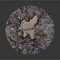 Wooden Stone Decorative Structure on Circular Surface with Colorful Gravel and Green Particles