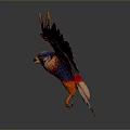 Red and Blue Eagle Spreading Wings Against Gray Background With Reflection