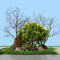 Lush Green Trees And Red Shrubs In Vibrant Garden With Stones Grass And Blue Sky